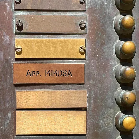 דירה Mimosa סיינה