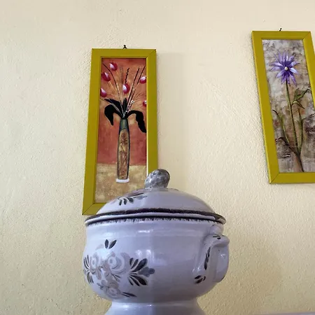 Mimosa Apartamento *