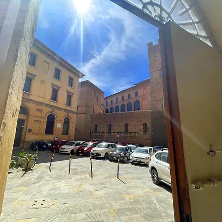 Mimosa Siena