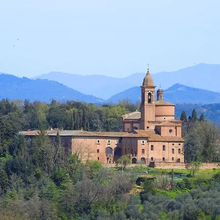 Mimosa * Siena