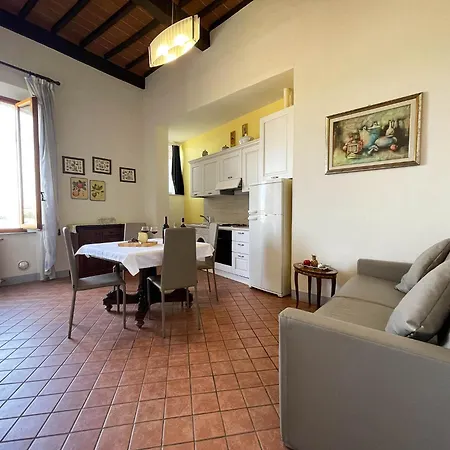 Mimosa * Siena