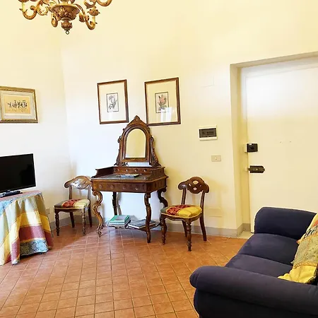 Mimosa * Siena